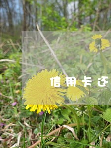 信用卡还款逾期两个月会怎么样 信用卡还款逾期两个月会怎么样