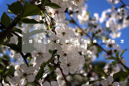 信用卡还款逾期两天会怎样 信用卡还款逾期两天会怎样