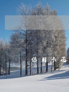 信用卡还款逾期两天咋办