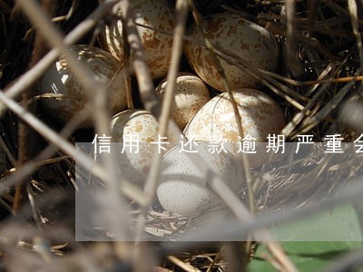 信用卡还款逾期严重会被拘留吗