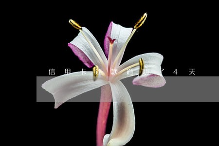 信用卡还款逾期了4天