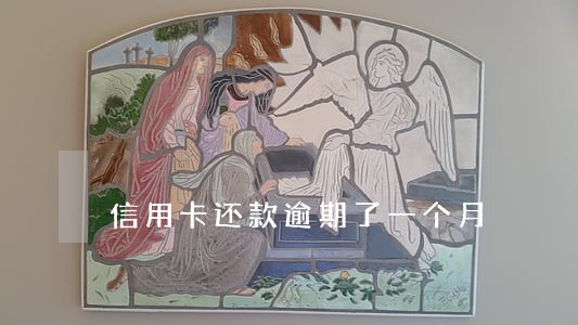 信用卡还款逾期了一个月 信用卡还款逾期了一个月