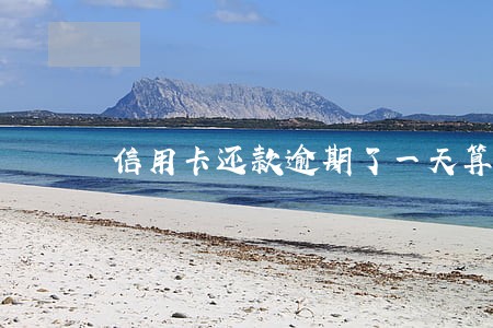 信用卡还款逾期了一天算利息吗 信用卡还款逾期了一天算利息吗