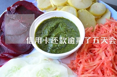 信用卡还款逾期了五天会怎样 信用卡还款逾期了五天会怎样