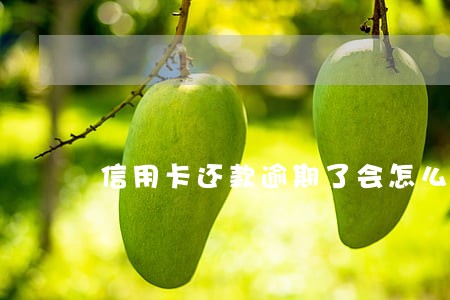 信用卡还款逾期了会怎么样 信用卡还款逾期了会怎么样