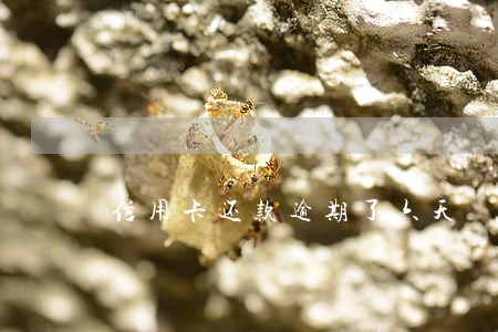 信用卡还款逾期了六天 信用卡还款逾期了六天