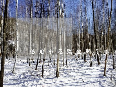 信用卡还款逾期了咋办 信用卡还款逾期了咋办