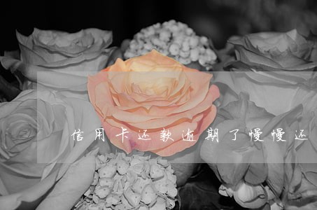 信用卡还款逾期了慢慢还可以吗 信用卡还款逾期了慢慢还可以吗