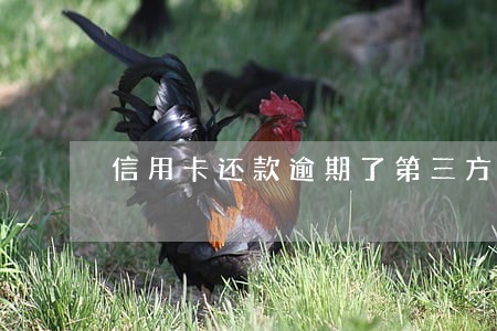 信用卡还款逾期了第三方怎么还 信用卡还款逾期了第三方怎么还
