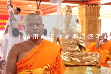 信用卡还款逾期了还不起怎么办 信用卡还款逾期了还不起怎么办