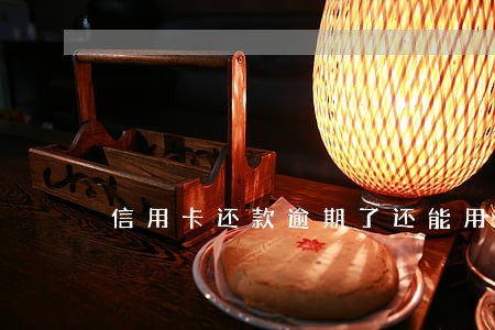 信用卡还款逾期了还能用吗