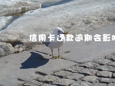 信用卡还款逾期会影响贷款吗 信用卡还款逾期会影响贷款吗