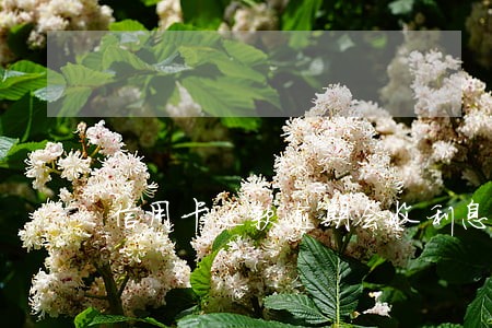 信用卡还款逾期会收利息吗 信用卡还款逾期会收利息吗