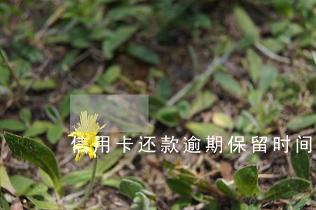 信用卡还款逾期保留时间 信用卡还款逾期保留时间