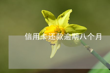 信用卡还款逾期八个月 信用卡还款逾期八个月
