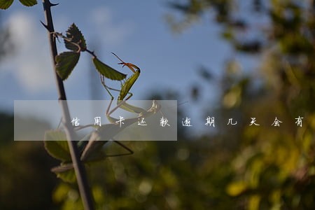 信用卡还款逾期几天会有利息 信用卡还款逾期几天会有利息