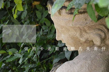 信用卡还款逾期几天有什么后果 信用卡还款逾期几天有什么后果