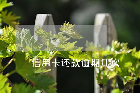 信用卡还款逾期几次 信用卡还款逾期几次