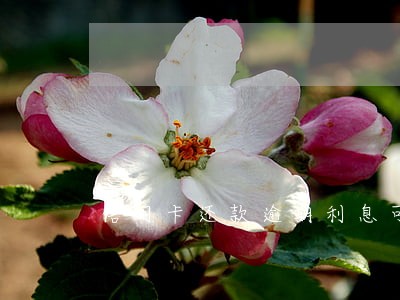 信用卡还款逾期利息可以免除吗 信用卡还款逾期利息可以免除吗
