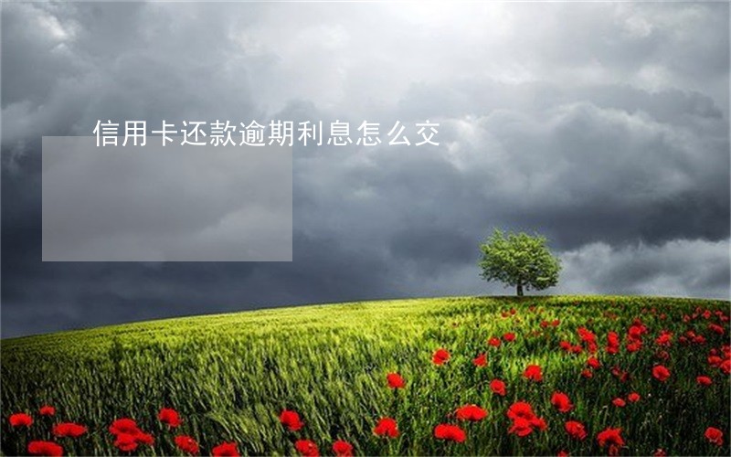 信用卡还款逾期利息怎么交 信用卡还款逾期利息怎么交