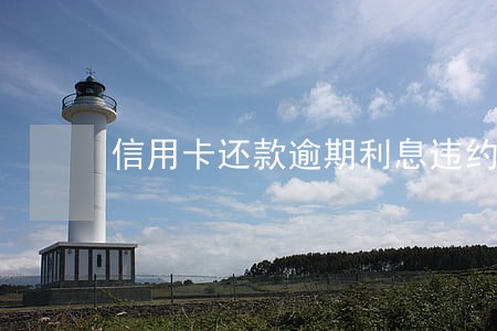 信用卡还款逾期利息违约金减免 信用卡还款逾期利息违约金减免