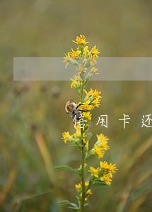 信用卡还款逾期到帐