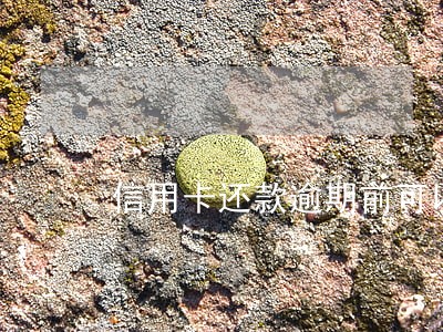 信用卡还款逾期前可以申请 信用卡还款逾期前可以申请