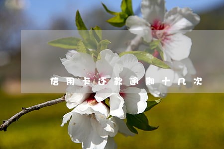 信用卡还款逾期十几次 信用卡还款逾期十几次