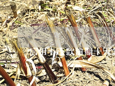 信用卡还款逾期十天怎么办 信用卡还款逾期十天怎么办
