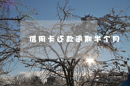 信用卡还款逾期半个月 信用卡还款逾期半个月