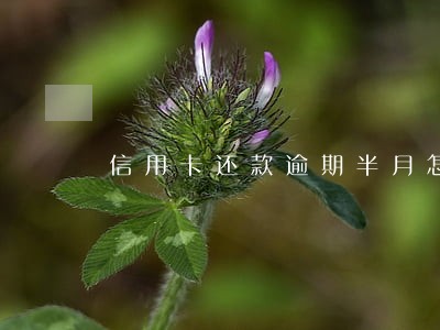 信用卡还款逾期半月怎么办 信用卡还款逾期半月怎么办