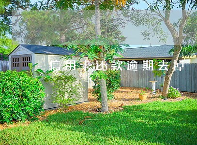 信用卡还款逾期去掉 信用卡还款逾期去掉