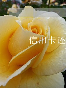 信用卡还款逾期可以撤销吗 信用卡还款逾期可以撤销吗