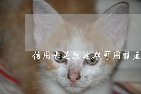 信用卡还款逾期可用额度 信用卡还款逾期可用额度