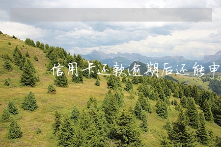 信用卡还款逾期后还能申请房贷 信用卡还款逾期后还能申请房贷