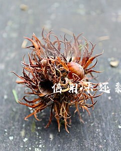 信用卡还款逾期困难申请书 信用卡还款逾期困难申请书