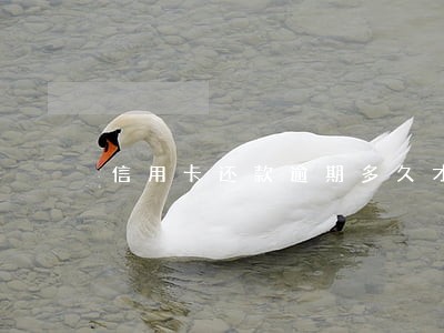 信用卡还款逾期多久才会被起诉 信用卡还款逾期多久才会被起诉