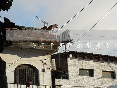 信用卡还款逾期多少天上征信 信用卡还款逾期多少天上征信