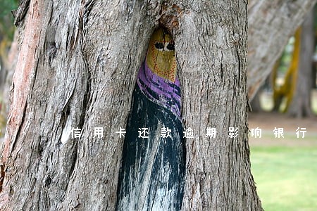 信用卡还款逾期影响银行贷款 信用卡还款逾期影响银行贷款