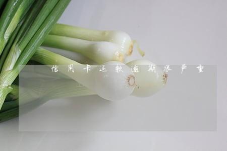 信用卡还款逾期很严重 信用卡还款逾期很严重