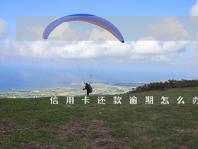 信用卡还款逾期怎么办理分期 信用卡还款逾期怎么办理分期