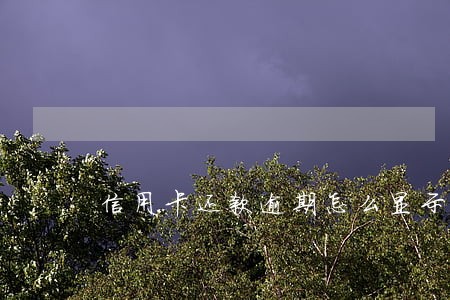 信用卡还款逾期怎么显示 信用卡还款逾期怎么显示