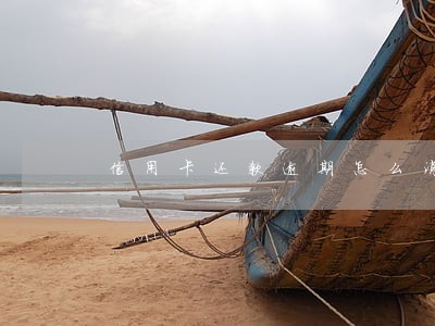 信用卡还款逾期怎么消除 信用卡还款逾期怎么消除