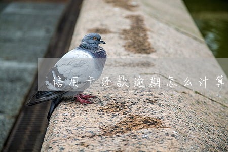 信用卡还款逾期怎么计算 信用卡还款逾期怎么计算