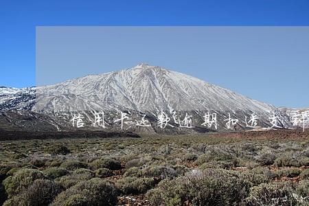 信用卡还款逾期扣透支利息