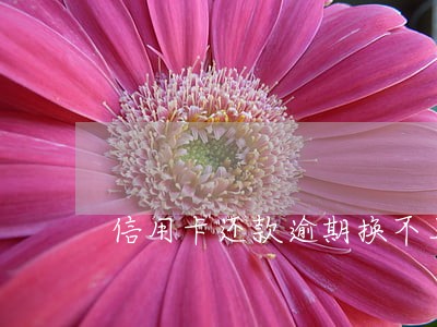 信用卡还款逾期换不上 信用卡还款逾期换不上