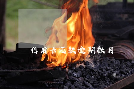 信用卡还款逾期数月 信用卡还款逾期数月