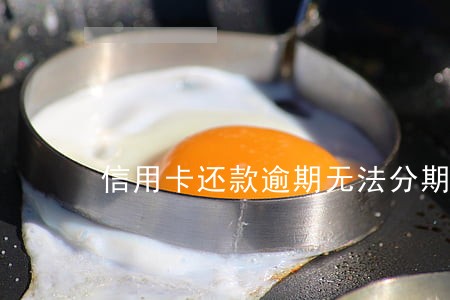 信用卡还款逾期无法分期付款
