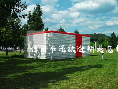 信用卡还款逾期是怎样收费的