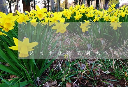信用卡还款逾期晚了几个小时